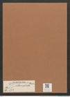 Navicula subampliata Ehr. (de-Toni-Nr.: Genus 1, Species 573) Zeichnungen Sammlung Grunow Mappe 00495 (Herbarium_W_Grunow_drawings_Folder_00495)